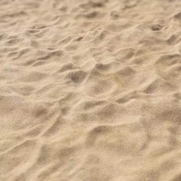homok